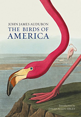 The Birds of America - John James Audubon [KSIĄŻKA]