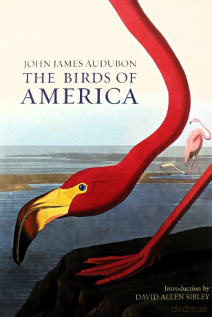 The Birds of America - John James Audubon [KSIĄŻKA]