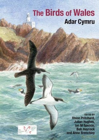 The Birds of Wales - Rhion Pritchard [KSIĄŻKA]