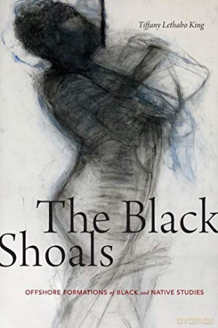 The Black Shoals: Offshore Formations of Black and Native Studies - Tiffany Lethabo King [KSIĄŻKA]