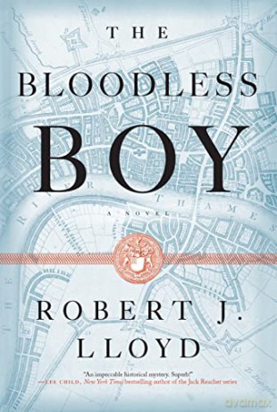 The Bloodless Boy (A Hunt and Hooke Novel) - Robert J Lloyd [KSIĄŻKA]
