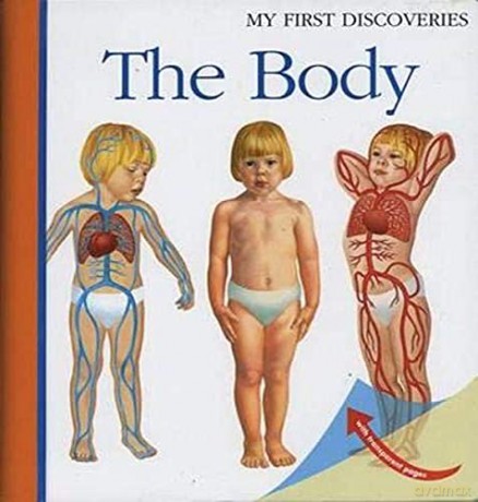 The Body (My First Discoveries) - Sylvaine Peyrols [KSIĄŻKA]