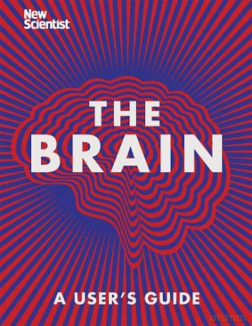The Brain: Everything You Need to Know - New Scientist [KSIĄŻKA]