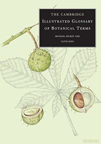 The Cambridge Illustrated Glossary of Botanical Terms - Michael Hickey [KSIĄŻKA]