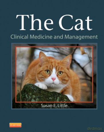The Cat: Clinical Medicine and Management, 1e - Susan Little DVM DABVP (Feline) [KSIĄŻKA]