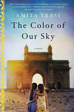 The Color of Our Sky: A Novel - Amita Trasi [KSIĄŻKA]
