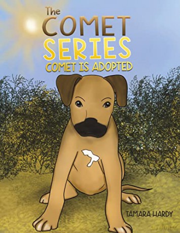The Comet Series: Comet Is adopted - Tamara Hardy [KSIĄŻKA]