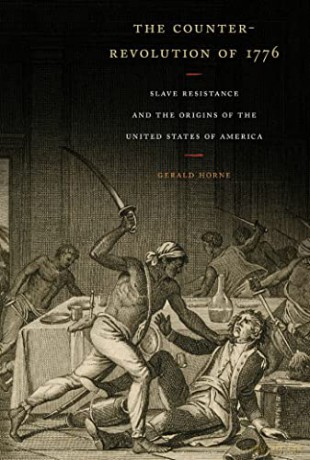 The Counter-Revolution of 1776: Slave Resistance and the Origins of the United States of America - Gerald Horne [KSIĄŻKA]