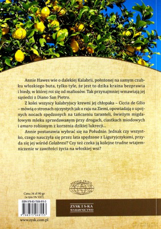 Podróż na południe - Annie Hawes [KSIĄŻKA]