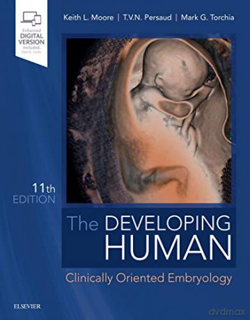 The Developing Human: Clinically Oriented Embryology - Keith L. Moore BA MSc PhD DSc FIAC FRSM FAAA [KSIĄŻKA]