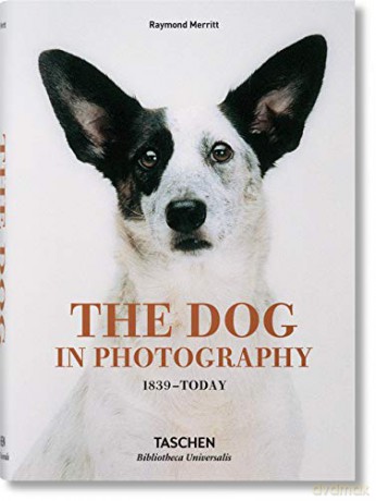 The Dog in Photography 1839-Today - Raymond Merritt [KSIĄŻKA]