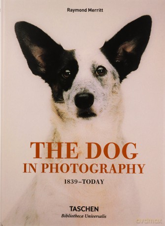 The Dog in Photography 1839-Today - Raymond Merritt [KSIĄŻKA]