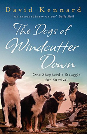 The Dogs of Windcutter Down - David Kennard [KSIĄŻKA]