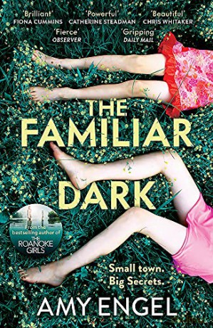 The Familiar Dark: The must-read, utterly gripping thriller you won't be able to put down - Amy Engel [KSIĄŻKA]