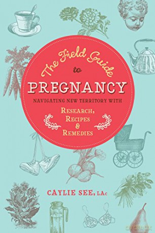 The Field Guide to Pregnancy: Navigating New Territory with Research, Recipes, and Remedies - Caylie See [KSIĄŻKA]