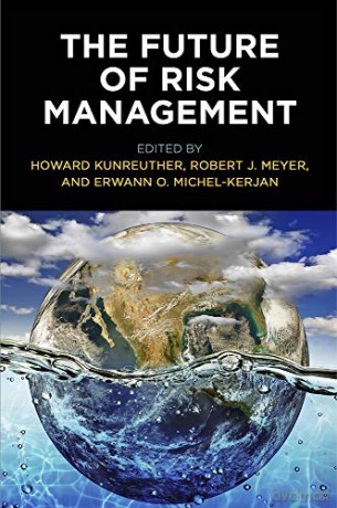 The Future of Risk Management (Critical Studies in Risk and Disaster) - Erwann O. Michel-Kerjan [KSIĄŻKA]