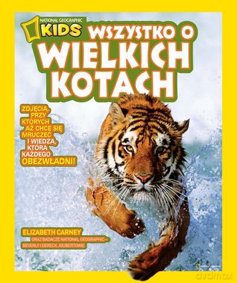 Wszystko O Wielkich Kotach - Elizabeth Carney [KSIĄŻKA]