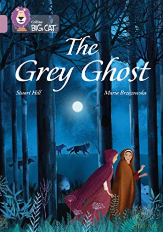 The Grey Ghost: Band 18/Pearl (Collins Big Cat) - Stuart Hill [KSIĄŻKA]