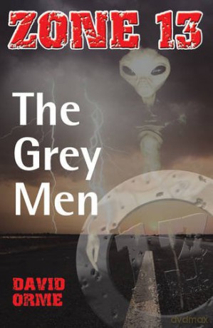The Grey Men: Set One (Zone 13) - David Orme [KSIĄŻKA]