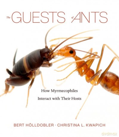 The Guests of Ants: How Myrmecophiles Interact with Their Hosts - Bert Hölldobler [KSIĄŻKA]