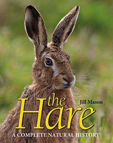 The Hare: A complete natural history - Jill Mason [KSIĄŻKA]