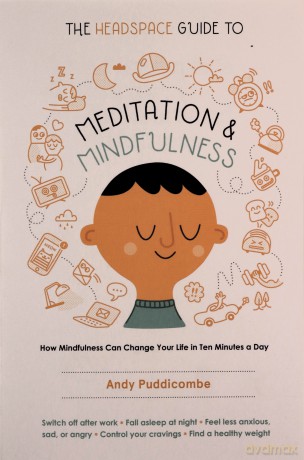 The Headspace Guide to Meditation and Mindfulness: How Mindfulness Can Change Your Life in Ten Minutes a Day - Andy Puddicombe [KSIĄŻKA]