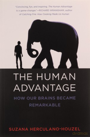 The Human Advantage: A New Understanding of How Our Brain Became Remarkable: How Our Brains Became Remarkable (The MIT Press) - Suzana Herculano-houze [KSIĄŻKA]