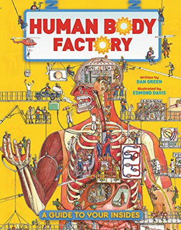 The Human Body Factory: A Guide To Your Insides - Dan Green [KSIĄŻKA]