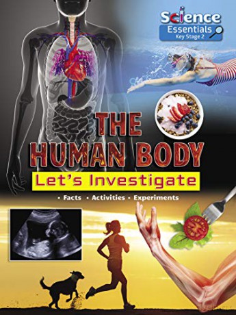 The Human Body: Let's Investigate (Science Essentials): 3 - Ruth Owen [KSIĄŻKA]