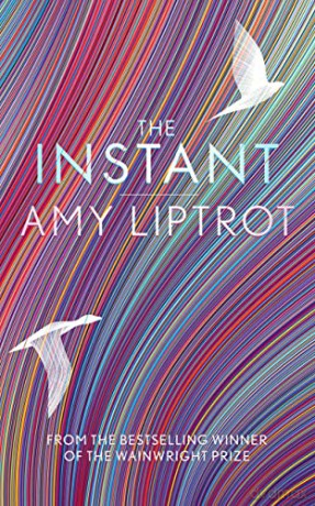 The Instant: Amy Liptrot - Amy Liptrot [KSIĄŻKA]