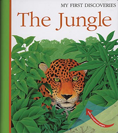 The Jungle: 18 (My First Discoveries) - René Mettler [KSIĄŻKA]
