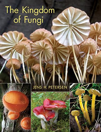 The Kingdom of Fungi - Jens H. Petersen [KSIĄŻKA]