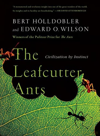 The Leafcutter Ants: Civilization by Instinct - Bert Hölldobler [KSIĄŻKA]