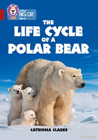 The Life Cycle of a Polar Bear: Band 14/Ruby (Collins Big Cat) - Catriona Clarke [KSIĄŻKA]