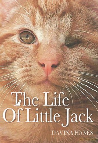 The Life of Little Jack - Davina Hanes [KSIĄŻKA]