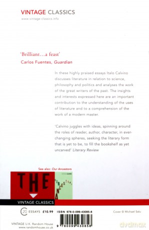 The Literature Machine: Essays - Italo Calvino [KSIĄŻKA]
