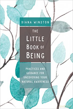 The Little Book of Being: Practices and Guidance for Uncovering Your Natural Awareness - Diana Winston [KSIĄŻKA]
