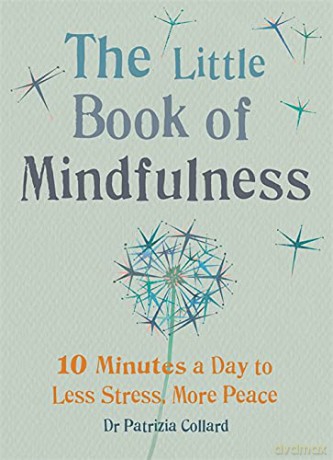 The Little Book of Mindfulness: 10 minutes a day to less stress, more peace (The Gaia Little Books Series) - Patrizia Collard [KSIĄŻKA]