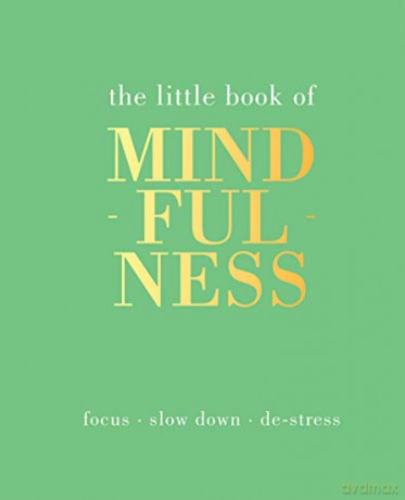 The Little Book of Mindfulness: Focus, Slow Down, De-Stress - Tiddy Rowan [KSIĄŻKA]