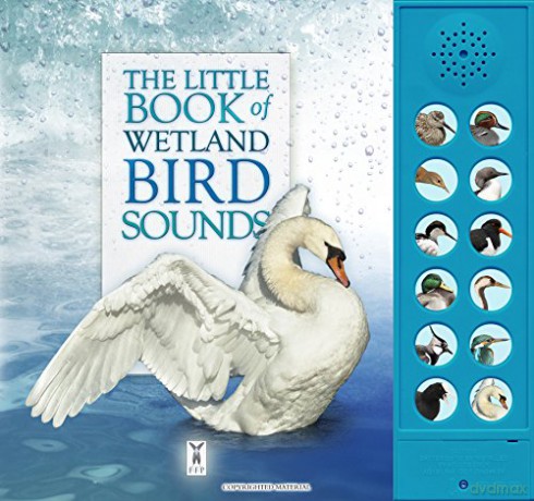The Little Book of Wetland Bird Sounds (Sound Books) - Caz Buckingham [KSIĄŻKA]