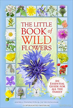 The Little Book Of Wild Flowers: A Visual Guide for all the Family: Part of The Little Books series - Buckingham Caz [KSIĄŻKA]
