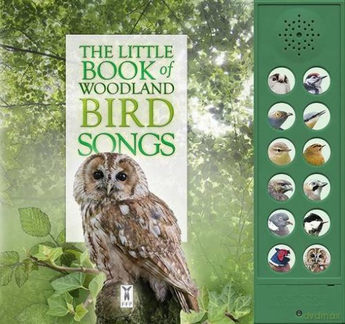 The Little Book of Woodland Bird Songs (Sound Book) (Little Books of): 2 - Caz Buckingham [KSIĄŻKA]