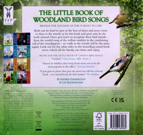 The Little Book of Woodland Bird Songs (Sound Book) (Little Books of): 2 - Caz Buckingham [KSIĄŻKA]