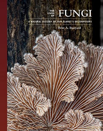The Lives of Fungi: A Natural History of Our Planet's Decomposers (The Lives of the Natural World) - Bunyard [KSIĄŻKA]