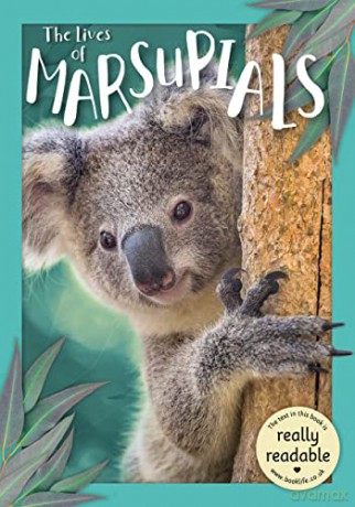 The Lives of Marsupials (BookLife Accessible Readers) - Madeline Tyler [KSIĄŻKA]