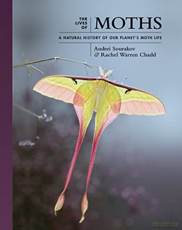 The Lives of Moths: A Natural History of Our Planet's Moth Life: 1 (The Lives of the Natural World, 1) - Sourakov [KSIĄŻKA]