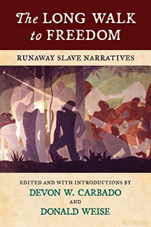 The Long Walk to Freedom: Runaway Slave Narratives - Devon W. Carbado [KSIĄŻKA]