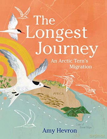 The Longest Journey: An Arctic Tern's Migration - Amy Hevron [KSIĄŻKA]