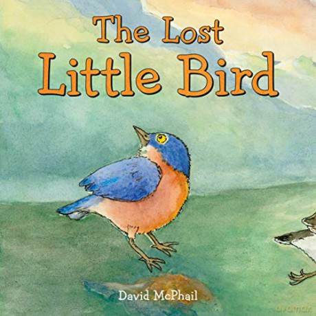 The Lost Little Bird - McPhail [KSIĄŻKA]