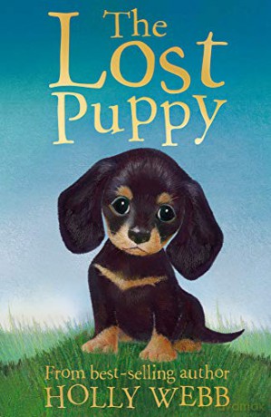 The Lost Puppy: 20 (Holly Webb Animal Stories (20)) - Holly Webb [KSIĄŻKA]